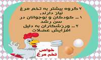 ۱۷ مهر روز جهانی تخم مرغ