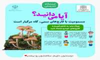 ایستگاه تندرستی  /آیا میدانید؟  مسمومیت  با قارچ های سمی، گاه مرگبار است