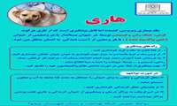 هاری  /  بیماری مشترک بین انسان و حیوان