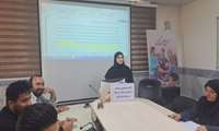 کارگاه پیشگیری و مراقبت از بیماری‌های سرخک، سرخجه و سرخجه مادرزادی: گامی مهم در ارتقای سلامت