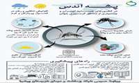 کلیات پشه آئدس