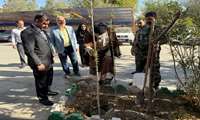   همزمان با روز پرستار؛ کاشت نهال در شبکه بهداشت و درمان با حضور مسئولان شهرستان پیشوا انجام شد