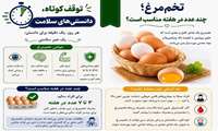 توقف کوتاه، دانستنی‌های سلامت/ تخم‌مرغ؛ چند عدد در هفته مناسب است؟