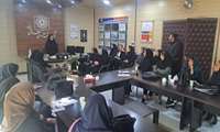 برگزاری کارگاه آموزشی اجرای برنامه «محله ارتقاءدهنده سلامت» در شبکه بهداشت و درمان شهرستان پیشوا