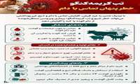 تب کریمه‌کنگو؛ خطر پنهان تماس با دام