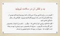 ۴ خرداد، روز جهانی تیروئید/ پروانه ای که نبض سلامت شماست. 