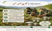   مسمومیت با قارچ های سمی/ برخی از قارچ ها، سمی و کشنده اند. قبل از مصرف اطمینان حاصل کنید.